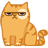 cat (1).png